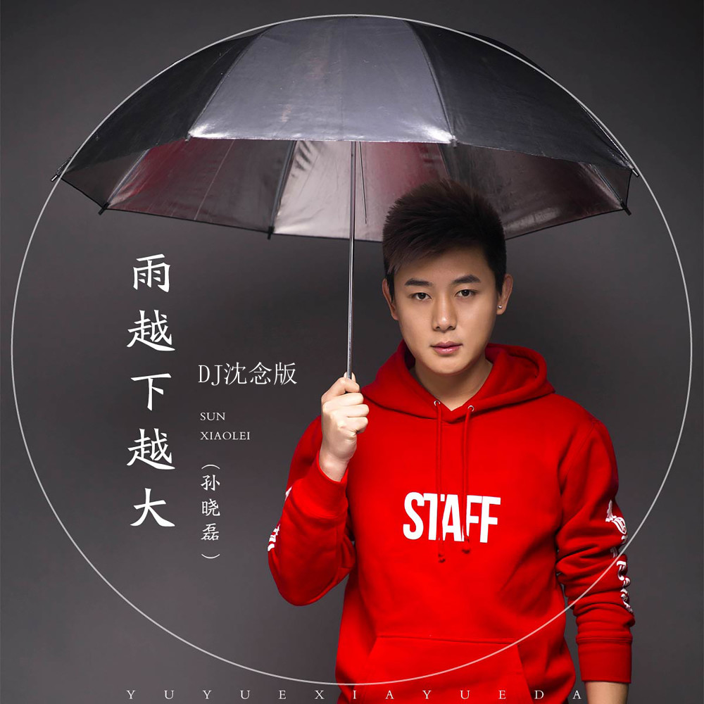 雨越下越大 (Dj沈念版伴奏) (DJ沈念版伴奏)