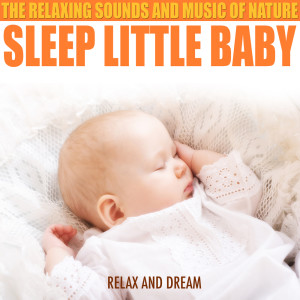 Album Sleep Little Baby - The Relaxing Sounds And Music Of Nature from Relax And Dream