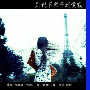Album 别说下辈子还爱我 from 水舞颜