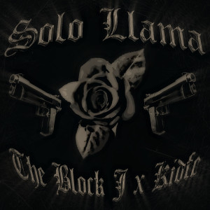 收聽The Block J的SOLO LLAMA (Explicit)歌詞歌曲