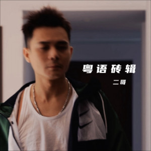 Album 爱与恨终集 from 广西二哥