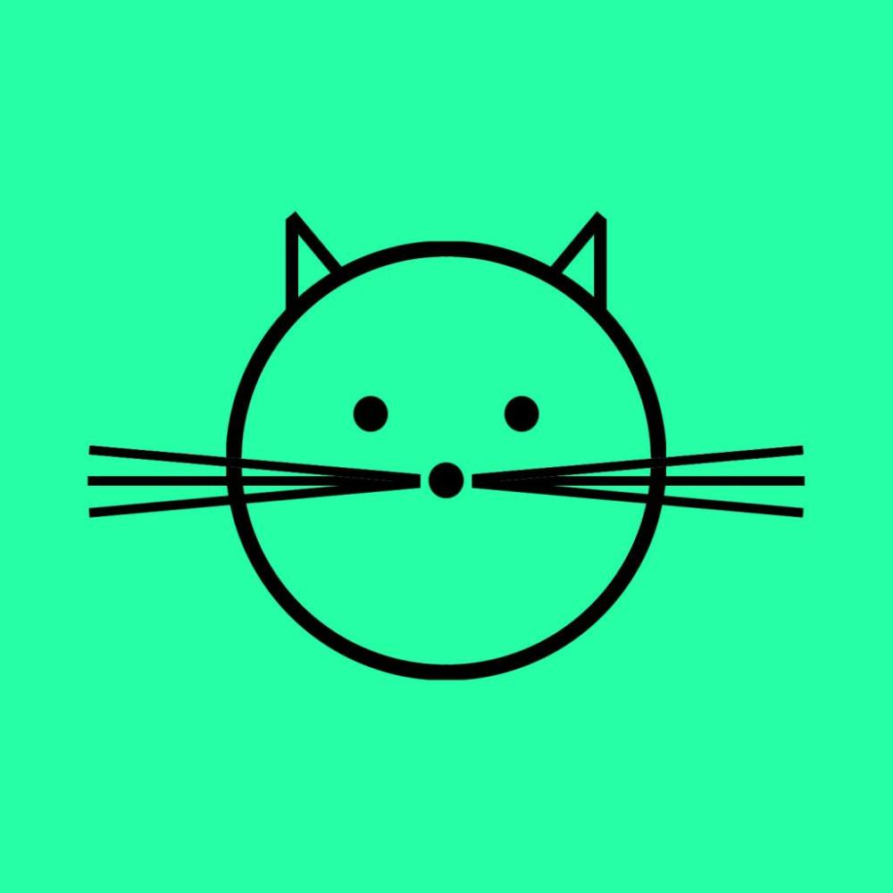 Beautiful Cat