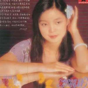 ดาวน์โหลดและฟังเพลง Wu Qing Huang Di You Qing Tian พร้อมเนื้อเพลงจาก 邓丽君