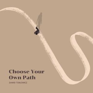 ดาวน์โหลดและฟังเพลง Choose Your Own Path (feat. Felix Robin, Rafał Sarnecki, Aniel Someillan & Krzysztof Szmańda) พร้อมเนื้อเพลงจาก Dawid Tokłowicz