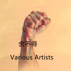 Dengarkan 舍不得 lagu dari 张幕煊 dengan lirik