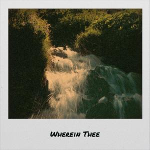 Various的专辑Wherein Thee