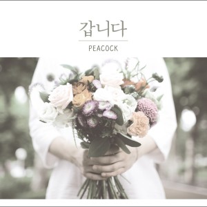 Dengarkan lagu 갑니다 (Rock ver.) nyanyian Peacock dengan lirik