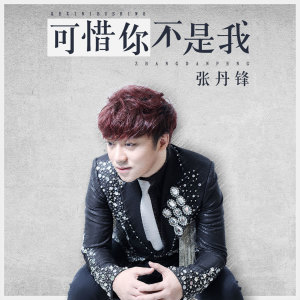 收听张丹锋的可惜你不是我歌词歌曲