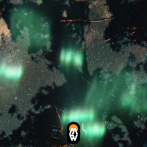Album Firefly from nitsche