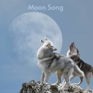 Dengarkan lagu Moon Song nyanyian Doris Day dengan lirik