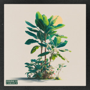 อัลบัม Philodendron ศิลปิน ReOrder