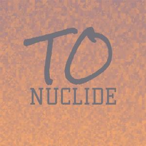 Various Artists的專輯To Nuclide