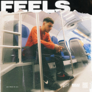 Album FEELS (Explicit) from Carterr