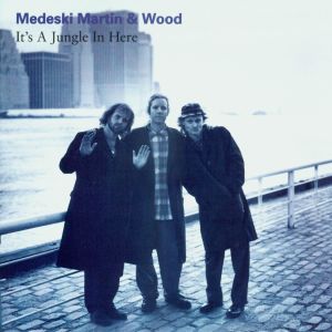 Medeski Martin & Wood的專輯It's A Jungle In Here