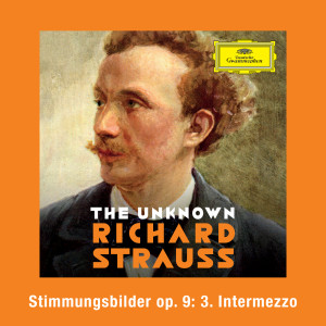 Stefan Vladar的專輯Strauss: Stimmungsbilder, Op. 9: No. 3 Intermezzo