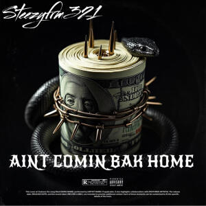 Steezyfrm321的專輯Aint Comin Bak Home (Explicit)
