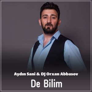 Listen to De Bilim (Remix) song with lyrics from Aydın Sani