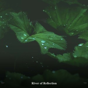 Meditation Rain Sounds的專輯!!!!" River of Reflection "!!!!