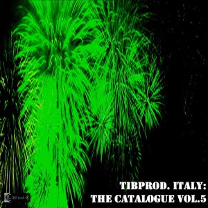 Album TIBProd. Italy: The Catalogue, Vol. 5 from Various