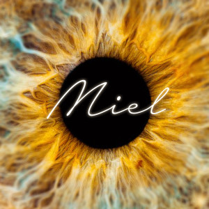 Listen to Miel song with lyrics from Julian Gray