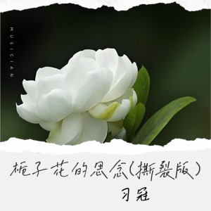 Album 栀子花的思念（撕裂版） from 郝红岩