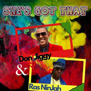 ดาวน์โหลดและฟังเพลง She's Got That พร้อมเนื้อเพลงจาก Don Jiggy