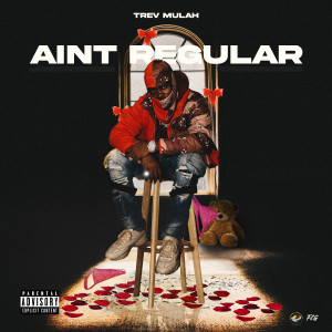 Album Aint Regular (Explicit) from 