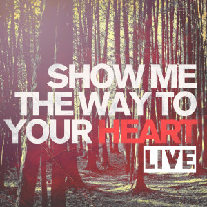 ดาวน์โหลดและฟังเพลง Show Me the Way to Your Heart (Live) พร้อมเนื้อเพลงจาก Adam Villiers