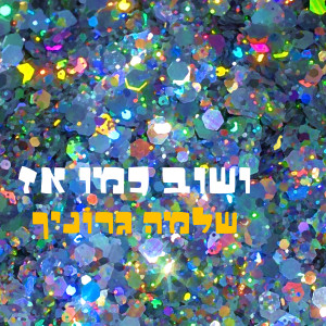Album ושוב כמו אז from שלמה גרוניך