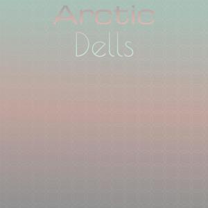 Various Artists的专辑Arctic Dells