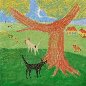 Sítio Rosa的專輯Lhasa