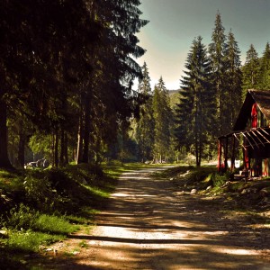 Dengarkan lagu Nirvana nyanyian Elman dengan lirik