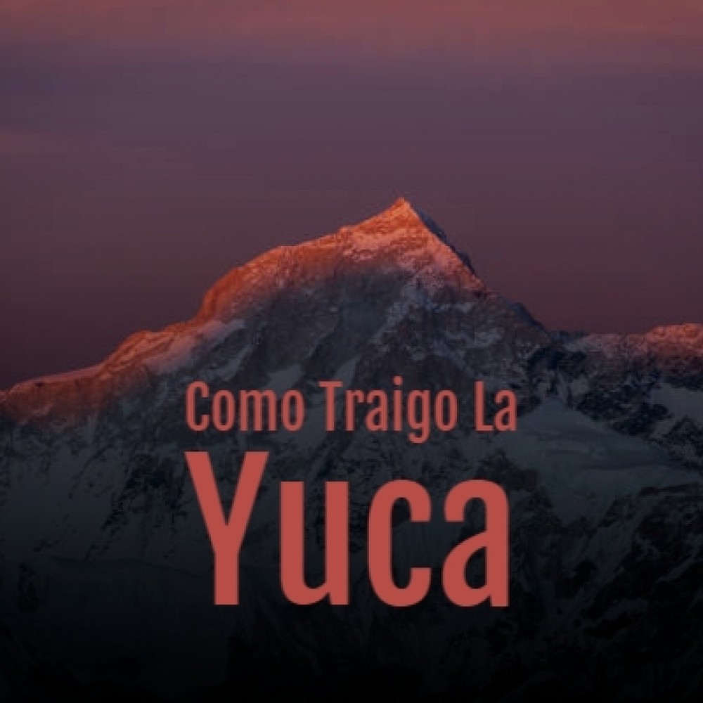 A La Luz De Los Cocuyos