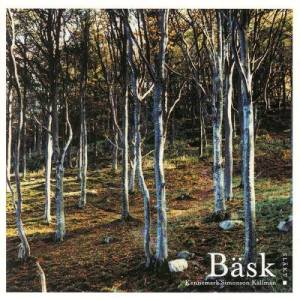 ดาวน์โหลดและฟังเพลง Polska från Sörmland พร้อมเนื้อเพลงจาก Bäsk