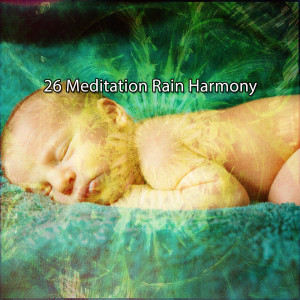 Thunderstorm的专辑26 Meditation Rain Harmony