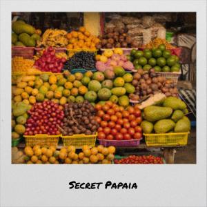 Album Secret Papaia from Various