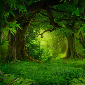 Listen to Song of Storms (Chillstep Version) song with lyrics from Laura Sullivan