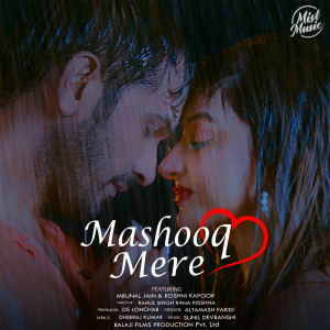 Altamash Faridi的专辑Mashooq Mere