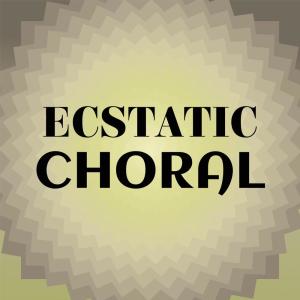 Listen to Great Sister song with lyrics from Brat Fien