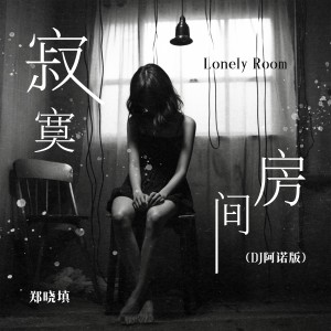 Listen to 寂寞房间 (DJ阿诺版) song with lyrics from 郑晓填