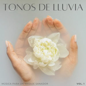 Lluvia Instantánea的專輯Tonos De Lluvia: Música Para Un Masaje Sanador Vol. 1