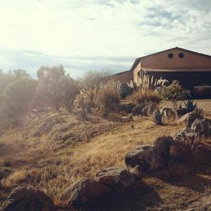 ดาวน์โหลดและฟังเพลง Reminiscing (Explicit) พร้อมเนื้อเพลงจาก Kid Hopes