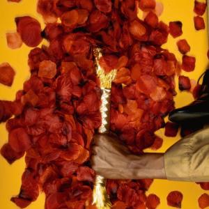 收聽SunnahTheSage的Personally, I dont care anymore (Explicit)歌詞歌曲