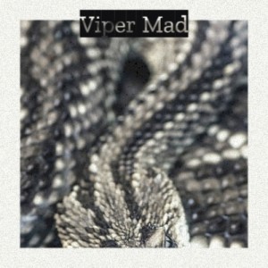 Album Viper Mad from Various Artists