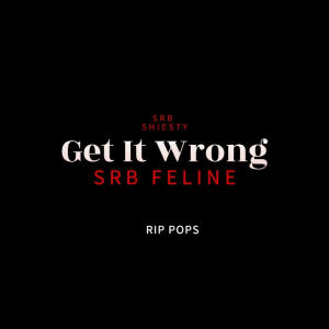 收聽bagztribe的Get It Wrong (feat. S.R.B Feline & S.R.B Shiesty) (Explicit)歌詞歌曲