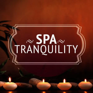ดาวน์โหลดและฟังเพลง Mandala พร้อมเนื้อเพลงจาก Pure Serenity Spa