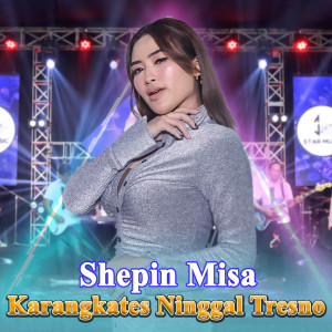 Shepin MIsa的专辑Karangkates Ninggal Tresno