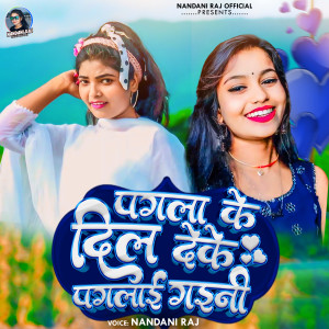 Album Pagla Ke Dil Deke Paglai Gaini from 