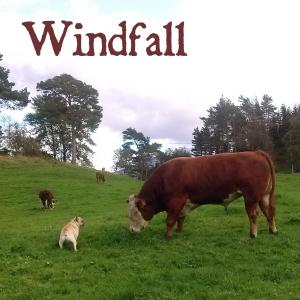 Listen to In It Again song with lyrics from Windfall