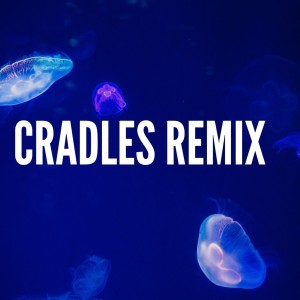 Dengarkan Cradles Remix lagu dari Dj Viral Mix dengan lirik